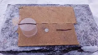 Tejon! повтор теста XP DЕUS 2😉👍