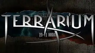 Стальная Воля 2019 - группа "Terrarium"