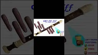 Play Along - Baby Shark on Recorder - Key of C #shorts