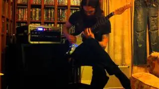 Texas Special Pickups - High Gain