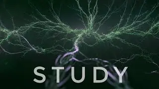 Concentration Boost | Deep Focus Music | Sounds to Study