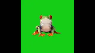 flog green screen video