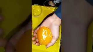 Trying frooti or mango jelly with review #shorts