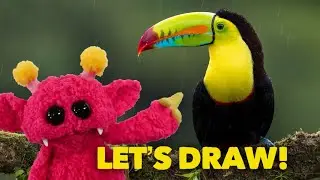 Toucan !!! How to Draw with Hubble - Nimalz Kidz