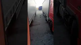 Вот кто ворует солярку на стоянках!
