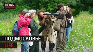 Научный туризм в Истре и преображение Ступино: Подмосковье LIFE