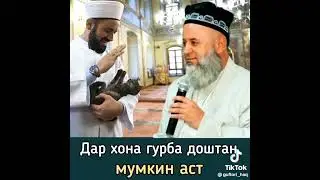Хочи мирзо  2023 