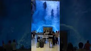 Самый красивый аэропорт в мире!