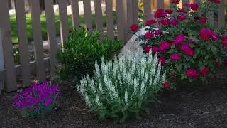 Beautiful Utah Landscaping Tips Part 1