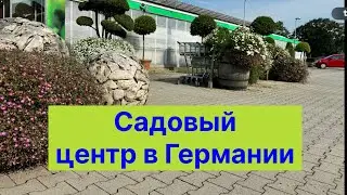 Посещение садового центра: стильный декор, предлагаемый ассортимент, композиции для яркой осени…