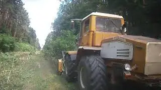расчистка под ЛЭП
