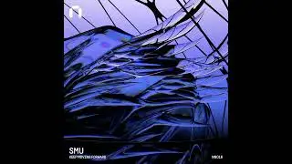 𝐏𝐑𝐄𝐌𝐈𝐄𝐑𝐄 | SMU - Active Shooter (Revoxx Remix) [NN016]