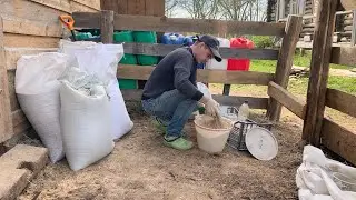 PROPER FEEDING OF PIGS. CREATING COMPOUND FEED TOGETHER