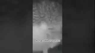 ЁЖ ГЕРОИЧЕСКИ СПАСАЕТ ОТ КРИНЖА 