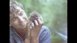 Жги ночь по полной
