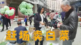 There is a good harvest of cabbage at home, and the eldest sister sells vegetables very well.