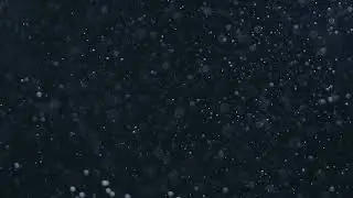 Dust Particles | Full HD | VFX LIBRARY | Free Stock Footage