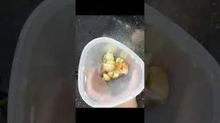 【如何在三十秒內極速剝蒜皮】剝完手不會臭臭的！How to peel off garlic in 30 seconds? Super fast and efficient!