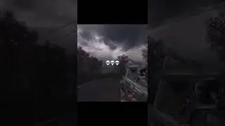 в сталкере одни из самых лутших эмбиотов