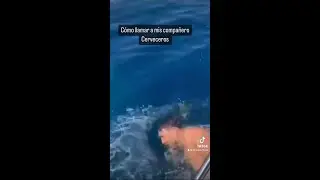 😎 síguenos para más  Visita nuestra pagina ELRANKI.COM   #viral  #musica #new #video #cool #nic...