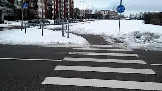 Елгава 29 января 2021