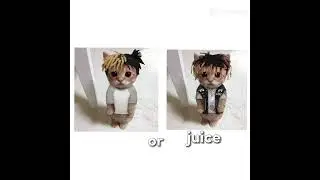 xxxtentacion or juice world or pop smoke
