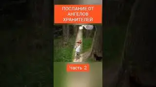 Послание ангелов. Призыв ангелов. Послушай совет ангела. Как общаться с ангелами.