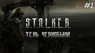 Прохождение S.T.A.L.K.E.R.: Тень Чернобыля — Часть #1