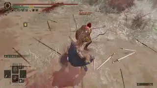 수호자의 검창 Elden Ring PVP 24.01.19
