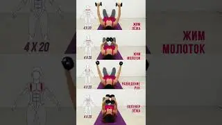 4 упражнения на грудные мышцы с гантелями