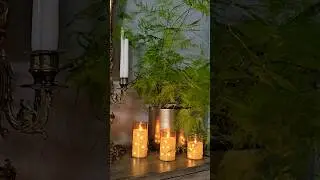 КОМНАТНЫЕ РАСТЕНИЯ ОБЗОР #nature #цветы #totalgaming #top #
