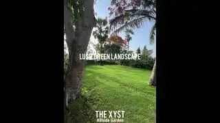 THE XYST