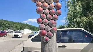 #усадьбасемигорье Место силы где можно отдохнуть душой.