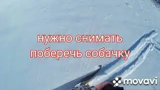 Охота с ЭГ\Промах, а нет попал