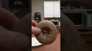 Donut Drama VI - More Blueberry Donut Blues (