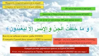 Мудрость создания джиннов и людей! Для чего ты был создан?