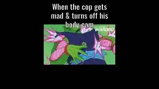 When a cop gets mad and turns off his body cam