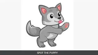 Spot The Puppy Quiz Answers 100% | Quiz Diva