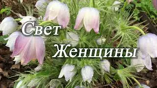 Наполнение энергией. Восстановление ресурса. Женская практика.