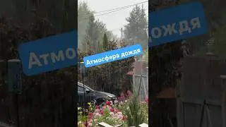 Как это всё случилось…? В дуэте с дождём, атмосферно.  #лихацкий