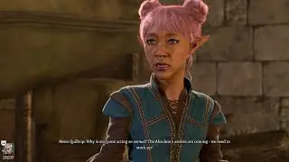 [BG3 Baldur's Gate 3] Panic on the Streets of Baldur's Gate