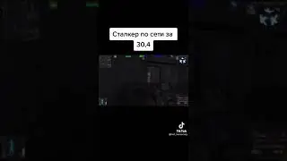 сталкер по сети за 30,4 секунды