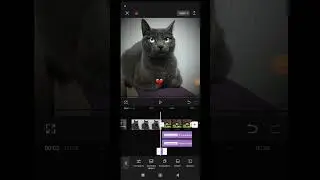 как сделать Эдит тутор! #edit
