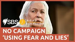Marcia Langton to seek legal advice over Peter Dutton Instagram post | SBS News