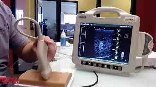 VATA–Infusion Product Demo– Vascular Access Ultrasound Phantom