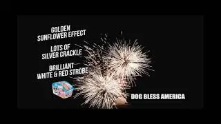 Firework Shop at the Fireworks Store Online. Buy the Dog Bless America fireworks fountain for less.