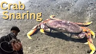 Crabbing After a 2 year Hiatus