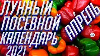 ЛУННЫЙ ПОСЕВНОЙ КАЛЕНДАРЬ ОГОРОДНИКА!!! БЛАГОПРИЯТНЫЕ ДНИ!!!