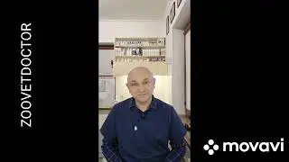 Рентген исследование как собаки едят @zoovetdoctor