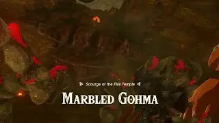 MARBLED GOHMA BOSS FIGHT (Fire Temple) - The Legend of Zelda: Tears of the Kingdom